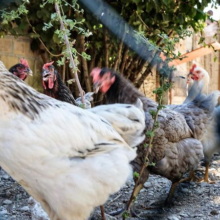 Tenuta Fonte Mosco' Ponzano di Fermo Zewnętrze zdjęcie