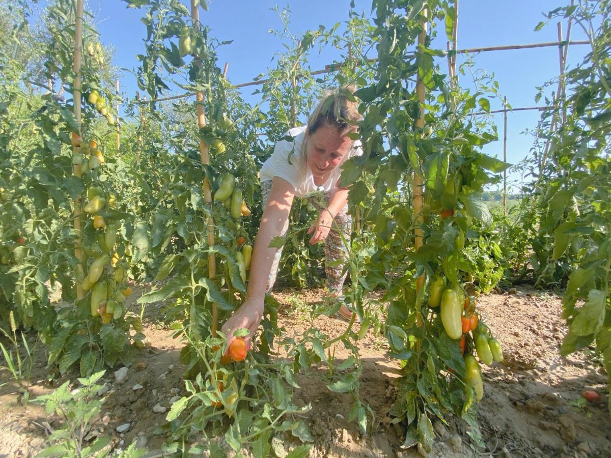 Tenuta Fonte Mosco' Ponzano di Fermo Zewnętrze zdjęcie